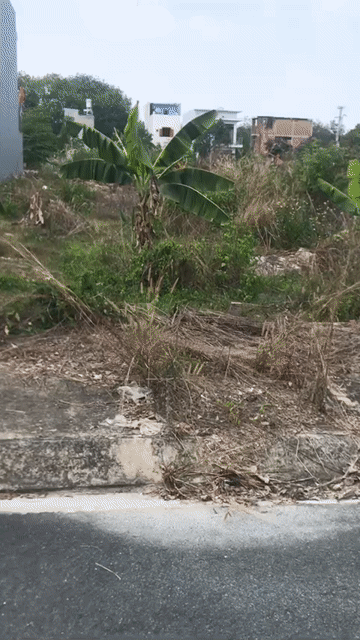 Mua bán Đất Thị xã Tân Uyên Bình Dương diện tích 85 m² giá 1,5 tỷ