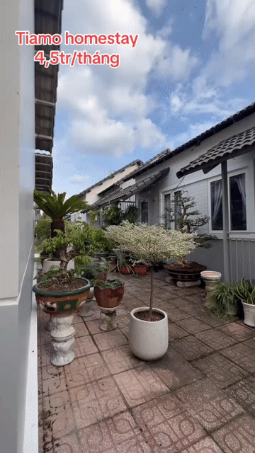 Cho thuê Nhà ở Thành phố Thủ Dầu Một Bình Dương diện tích 30 m² giá 4,5 triệu/tháng
