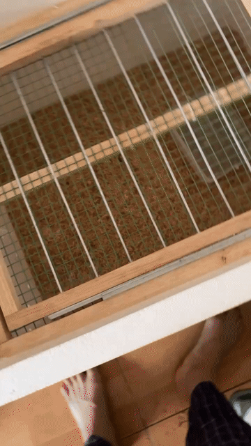 Máy ấp trứng 50 trứng Đảo tự động. Mua bán Đồ chuyên dụng, Giống nuôi trồng tại Quận 8 Tp Hồ Chí Minh được đăng bởi luân Nguyễn hình 1
