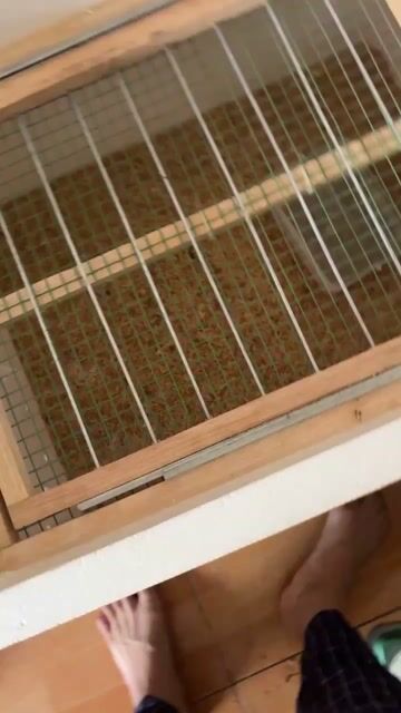 Máy ấp trứng 50 trứng Đảo tự động. Mua bán Đồ chuyên dụng, Giống nuôi trồng tại Quận 8 Tp Hồ Chí Minh được đăng bởi luân Nguyễn hình 1