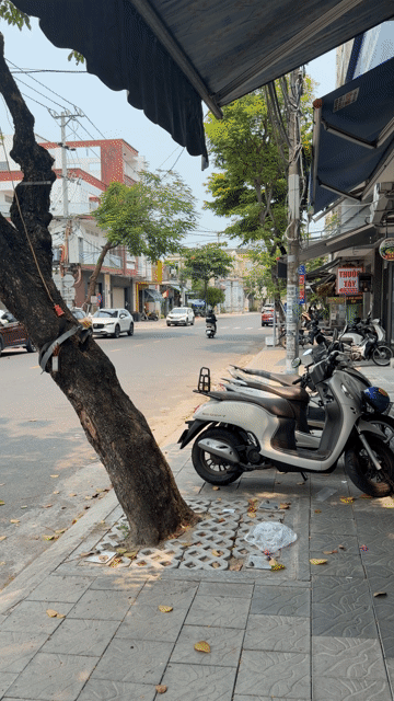 Mua bán Nhà ở Quận Thanh Khê Đà Nẵng diện tích 20 m² giá 3,2 tỷ