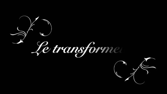 Le transformeur