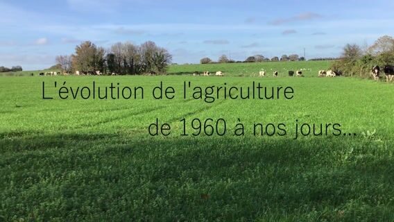 De 1960 à nos jours