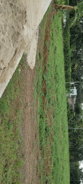 Mua bán Đất Huyện Krông A Na Đắk Lắk diện tích 4000 m² giá 1,3 tỷ