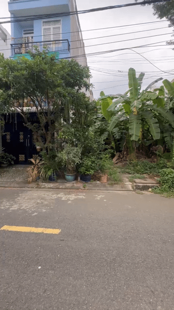 Mua bán Đất Khu dân cư Phú Lợi Quận 8 Tp Hồ Chí Minh diện tích 80 m² giá 4,3 tỷ