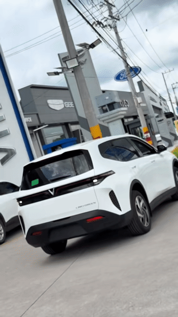 VinFast Limo Green đủ màu- Trả trước chỉ 80 Triệu. Mua bán Ô tô tại Quận 7 Tp Hồ Chí Minh được đăng bởi KỲ VINFAST LÊ THỊ RIÊNG hình 1