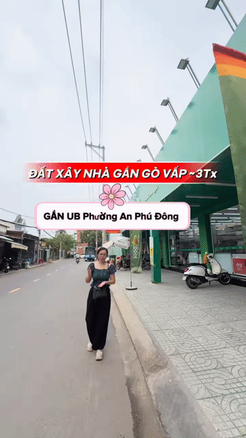 Mua bán Đất Quận 12 Tp Hồ Chí Minh diện tích 56 m² giá 3,8 tỷ