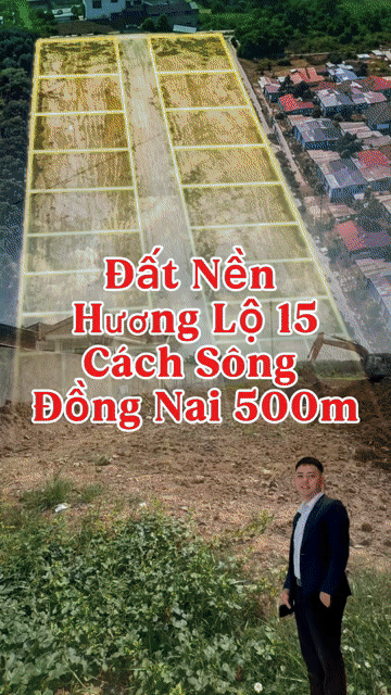 Mua bán Đất Thành phố Biên Hòa Đồng Nai diện tích 125 m² giá 980 triệu