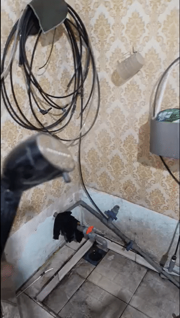 Bàn ủi hơi nước Seka SK479. Mua bán Nội thất, đồ gia dụng khác tại Huyện Gò Dầu Tây Ninh được đăng bởi Hảo hình 1