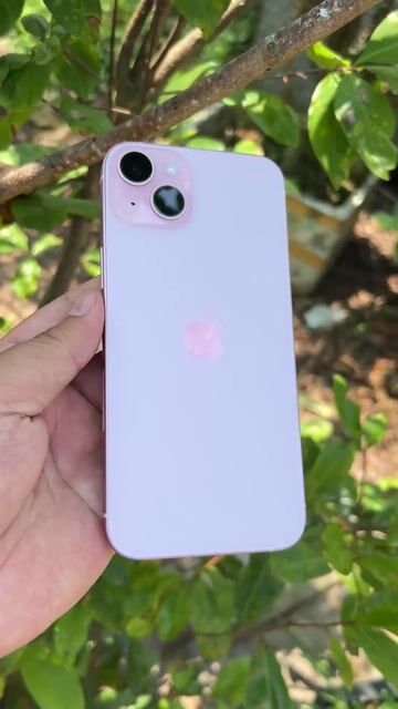 iPhone 15 plus pink Đã qua sử dụng. Mua bán Điện thoại tại Thành phố Vĩnh Long Vĩnh Long được đăng bởi Công Hiếu hình 1