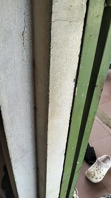 CẦN CHO MÈO CON VỀ NUÔI KHÔNG BÁN.. Mua bán Mèo tại Thành phố Vũng Tàu Bà Rịa - Vũng Tàu được đăng bởi NGUYỄN THỊ BAN hình 1