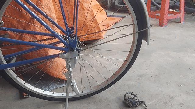 xe đạp sườn đầm ngay xưa. Mua bán Xe đạp tại Thành phố Mỹ Tho Tiền Giang được đăng bởi Nguyen minh hiep hình 1