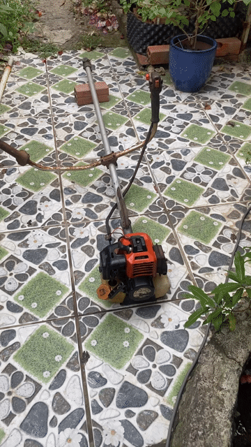 Máy cắt cỏ KUTO KG-305 nong 36li. Mua bán Đồ chuyên dụng, Giống nuôi trồng tại Huyện Mỏ Cày Nam Bến Tre được đăng bởi Kim phong hình 1