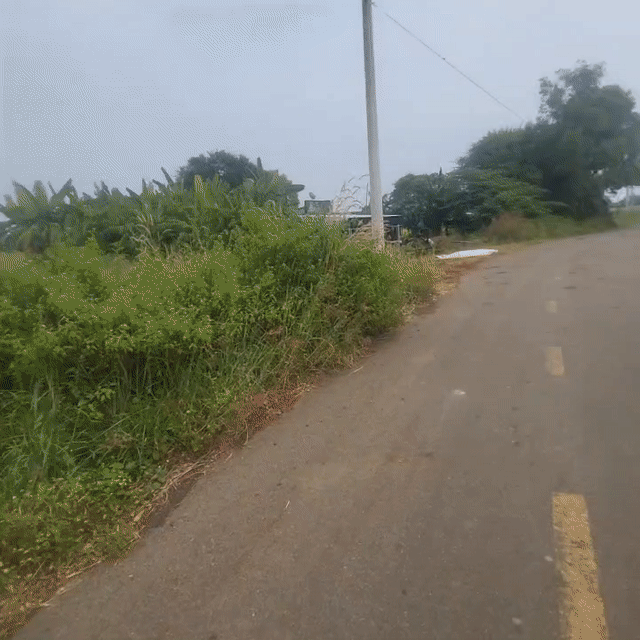 Mua bán Đất Huyện Đất Đỏ Bà Rịa - Vũng Tàu diện tích 1800 m² giá 1,65 tỷ