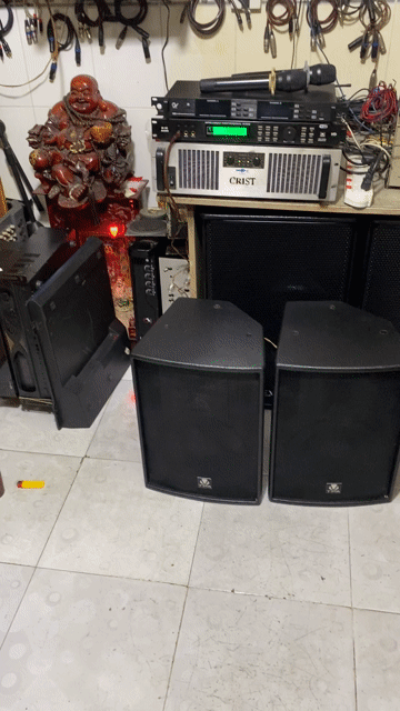 Loa karaoke TPA TP-10II Đen Ý. Mua bán Tivi, Âm thanh tại Quận Phú Nhuận Tp Hồ Chí Minh được đăng bởi bảo nguyen  hình 1