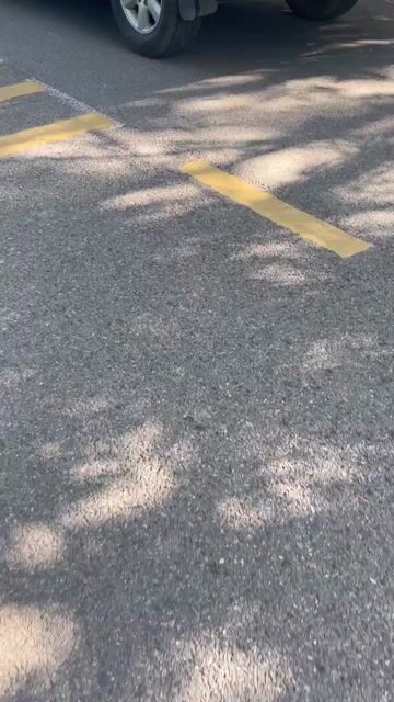 Toyota Fortuner 2010 SR5 2.7 AT - 1200 km. Mua bán Ô tô tại Huyện Đông Anh Hà Nội được đăng bởi nguyễn tiến dũng hình 1