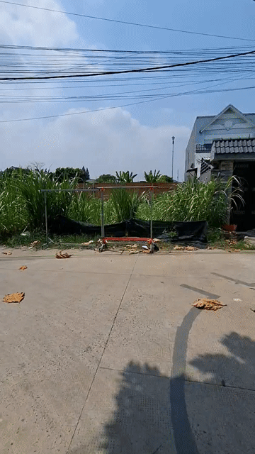 Mua bán Đất Huyện Hóc Môn Tp Hồ Chí Minh diện tích 150 m² giá 2,6 tỷ