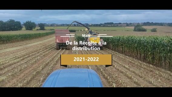 De l'ensilage de la récolte à la distribution du maïs
