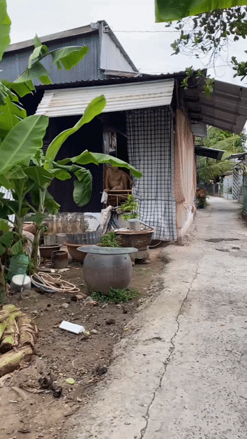 Mua bán Đất Thành phố Long Xuyên An Giang diện tích 88 m² giá 650 triệu