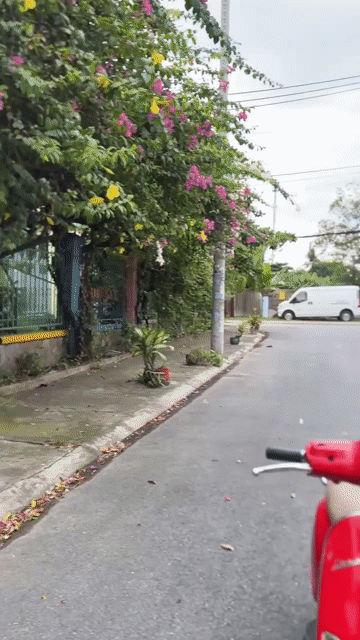 Piaggio Vespa LX125 2015 3VAN PHUN XĂNG FI Đỏ 90%. Mua bán Xe máy tại Thành phố Thủ Đức Tp Hồ Chí Minh được đăng bởi Nguyễn Thanh Bình hình 1