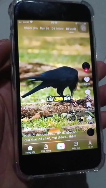 Apple iPhone 6s 16GB Bạc. Mua bán Điện thoại tại Thành phố Biên Hòa Đồng Nai được đăng bởi sống vô thường hình 1