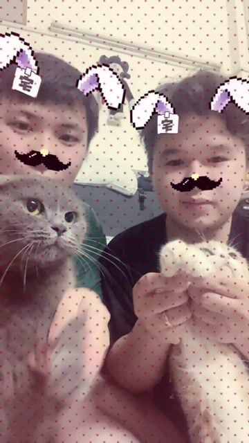 Tìm sen cho 2 bé. Mua bán Mèo tại Quận 10 Tp Hồ Chí Minh được đăng bởi Quốc Khánh hình 1