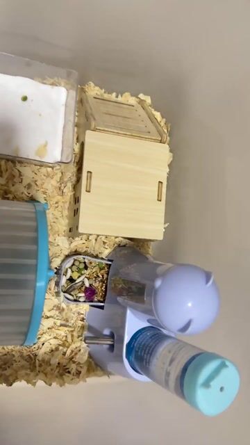 Lồng Hamster Nhựa Trắng. Mua bán Phụ kiện, Thức ăn, Dịch vụ tại Quận Hà Đông Hà Nội được đăng bởi Phương Anh Phạm Thị hình 1