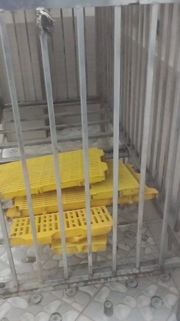 Chuồng inox lắp ghép. KT. 1.65 x 84 x 1.5m cả . Mua bán Phụ kiện, Thức ăn, Dịch vụ tại Quận Hai Bà Trưng Hà Nội được đăng bởi Nguyễn Thế Thi hình 1