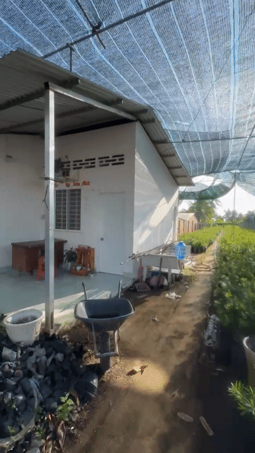 Mua bán Đất Huyện Chợ Lách Bến Tre diện tích 631.9 m² giá 2,8 tỷ