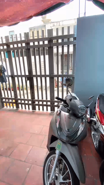 Cho thuê Phòng trọ Quận Tân Phú Tp Hồ Chí Minh diện tích 50 m² giá 760.000 đ/tháng