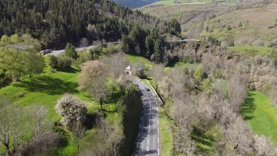 Les survivants du bois