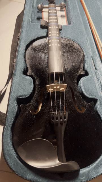 Đàn Violin Đen Tốt. Mua bán Nhạc cụ tại Huyện Hoài Đức Hà Nội được đăng bởi 2007 Én hình 1