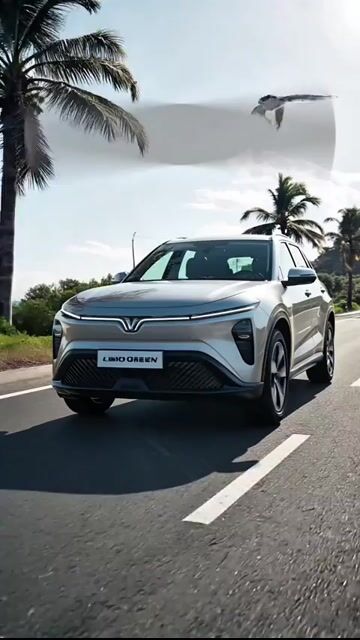 LIMO 7 CHỖ RỘNG RÃI+SẲN XE GIAO NGAY+90TR NHẬN XE. Mua bán Ô tô tại Quận Bình Thạnh Tp Hồ Chí Minh được đăng bởi Kỳ Nguyễn VinFast hình 1