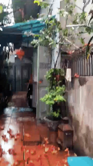 Cho thuê Nhà ở Quận Long Biên Hà Nội diện tích 40 m² giá 4,2 triệu/tháng
