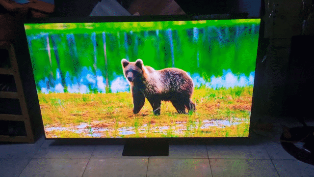 Smart TV Samsung QLED 55Q80A. Mua bán Tivi, Âm thanh tại Thành phố Thủ Dầu Một Bình Dương được đăng bởi Tivi Gia Đinh hình 1