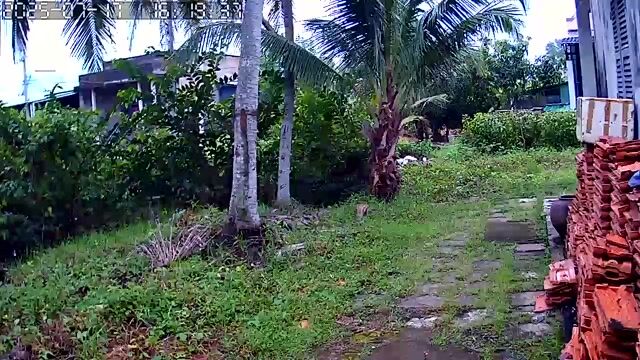 Camera Yoosee wifi. Mua bán Máy ảnh, Máy quay tại Quận Bình Tân Tp Hồ Chí Minh được đăng bởi Camera Wifi Yoosee hình 1