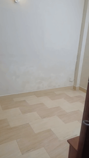 Cho thuê Phòng trọ Quận 8 Tp Hồ Chí Minh diện tích 14 m² giá 2,8 triệu/tháng