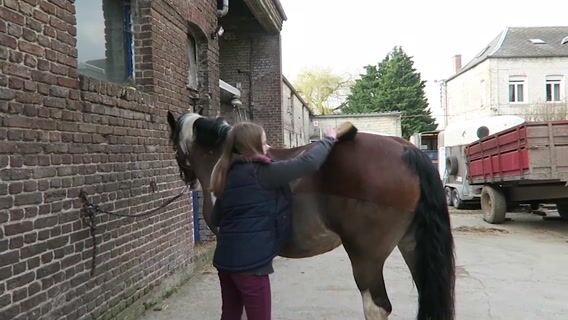 L'équitation, un sport pour tous !