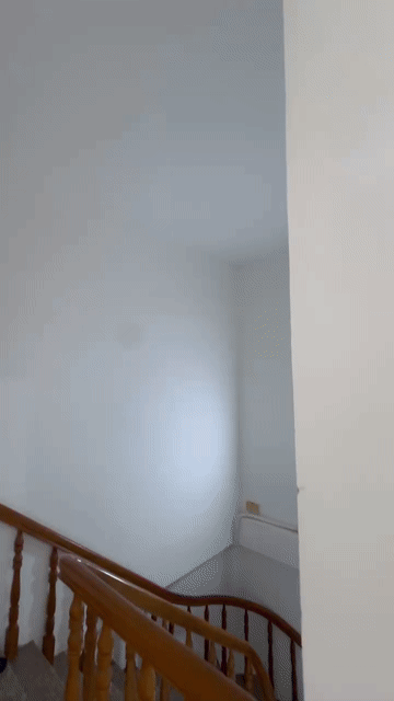 Cho thuê Phòng trọ Quận Gò Vấp Tp Hồ Chí Minh diện tích 20 m² giá 3,8 triệu/tháng