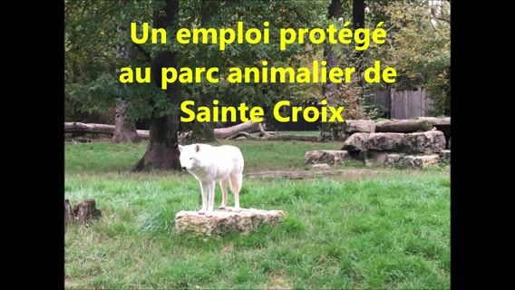Un emploi protégé au parc animalier de Ste CROIX