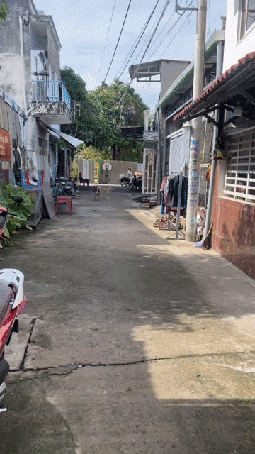 Cho thuê Nhà ở Thành phố Thủ Đức Tp Hồ Chí Minh diện tích 100 m² giá 12 triệu/tháng