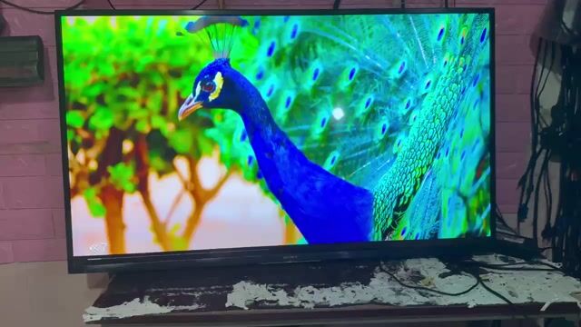 Tivi Sony KD-43X8000G. Mua bán Tivi, Âm thanh tại Quận Tân Bình Tp Hồ Chí Minh được đăng bởi hồ hoàng triều hình 1