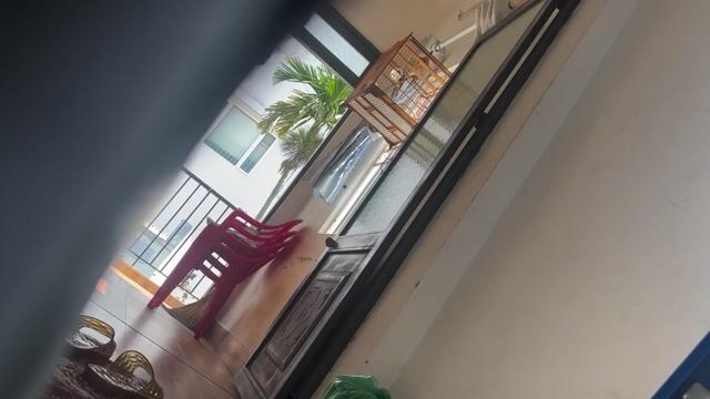quản lổi ngoái mùa 3 thuần 90%. Mua bán Chim tại Quận Hải Châu Đà Nẵng được đăng bởi Đà Nẵng hình 1