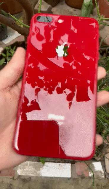 Apple iPhone 8 Plus 256GB Đỏ. Mua bán Điện thoại tại Huyện Lai Vung Đồng Tháp được đăng bởi Thi Thi hình 1
