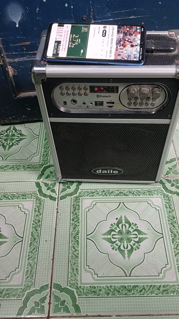 Loa kéo Daile Bluetooth Đen. Mua bán Tivi, Âm thanh tại Huyện Bình Chánh Tp Hồ Chí Minh được đăng bởi tuyết  hình 1