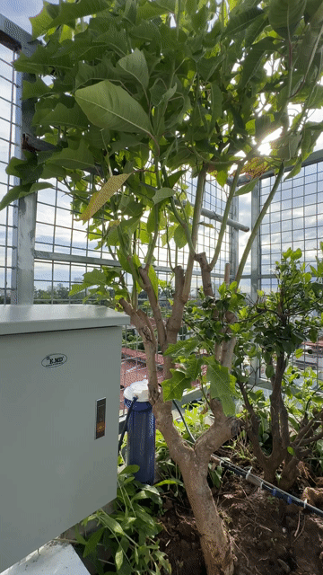 Cho thuê Phòng trọ Quận Long Biên Hà Nội diện tích 35 m² giá 6,5 triệu/tháng