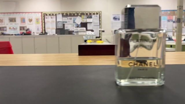 Egoiste Platinum Chanel colonie - un parfum de barbati 1993