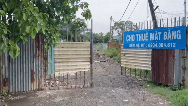 Cho thuê Đất Huyện Bình Chánh Tp Hồ Chí Minh diện tích 550 m² giá 10 triệu/tháng