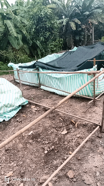 Cho thuê Nhà ở Huyện Củ Chi Tp Hồ Chí Minh diện tích 2000 m² giá 6 triệu/tháng