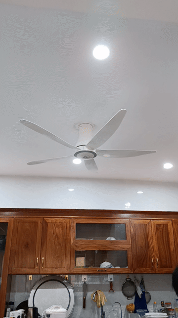 Quạt trần Điện Cơ. Mua bán Quạt tại Quận Nam Từ Liêm Hà Nội được đăng bởi Lăng Nguyễn hình 1